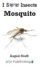 Mosquito