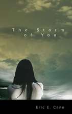 The Storm of You