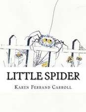 Little Spider