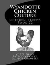 Wyandotte Chicken Culture