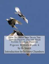 How to Breed and Train the Tippler Pigeon and the High Flying Tumbler Pigeons