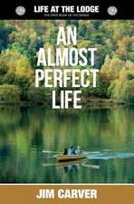 An Almost Perfect Life