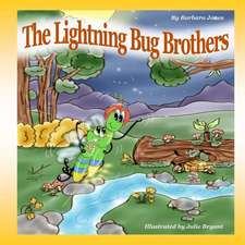 The Lightning Bug Brothers