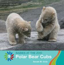 Polar Bear Cubs