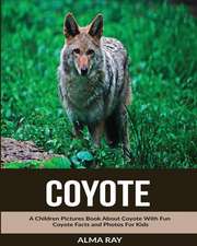 Coyote