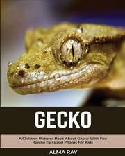 Gecko