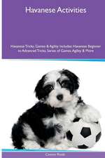 Havanese Activities Havanese Tricks, Games & Agility. Includes