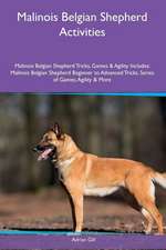 Malinois Belgian Shepherd Activities