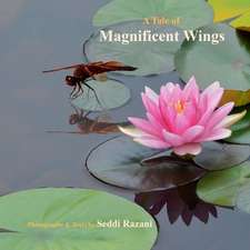 A Tale of Magnificent Wings