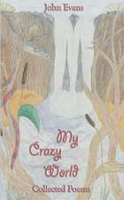 My Crazy World