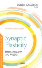 Synaptic Plasticity