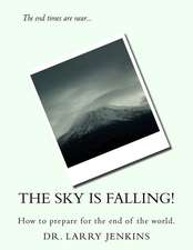 The Sky Is Falling!