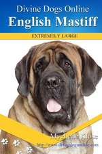 English Mastiff