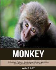Monkey