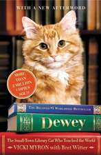 Dewey: The Small-Town Library Cat Who Touched the World