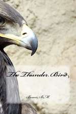 The Thunder Bird