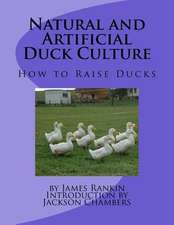 Natural and Artificial Duck Culture