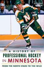 A History of Professional Hockey in Minnesota: From the North Stars to the Wild