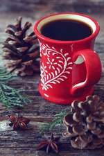 Coffee in a Red Cup and Pinecones Journal