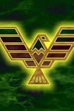 Abstract Hawk on Green