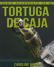 Tortuga de Caja