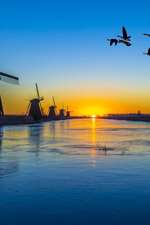 Sunrise with Windmill and Flying Geese at Kinderdijk Netherlands Journal