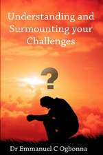 Understanding and Surmounting Your Challenges