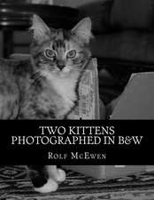 Two Kittens Photographed in B&w