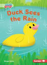 Duck Sees the Rain