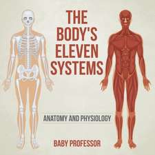 The Body's Eleven Systems | Anatomy and Physiology