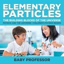 Elementary Particles