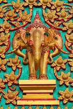 Golden Elephant Carving on a Temple Door in Thailand Journal