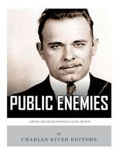 Public Enemies