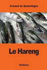 Le Hareng