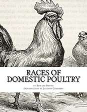 Races of Domestic Poultry