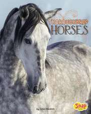 Thoroughbred Horses