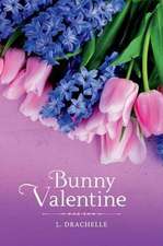 Bunny Valentine: Volume 1