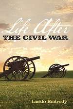 Life After the Civil War: Volume 1