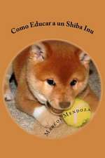 Como Educar a Un Shiba Inu