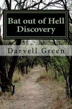 Bat Out of Hell Discovery