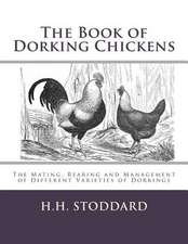 The Book of Dorking Chickens