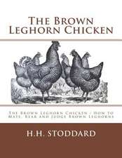 The Brown Leghorn Chicken