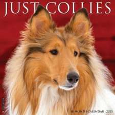 Just Collies 2025 12 X 12 Wall Calendar