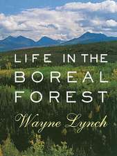 Life in the Boreal Forest