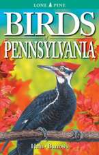 Birds of Pennsylvania