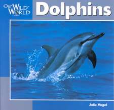 Dolphins