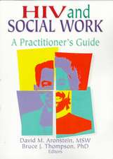 HIV and Social Work: A Practitioner's Guide