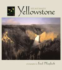 Yellowstone Wild and Beautiful