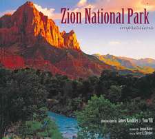 Zion National Park: Impressions