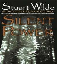 Silent Power